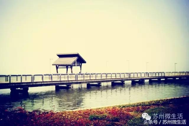 再过四天，苏州人将享有以下福利