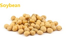 apple苹果的英语是什么,苹果的英语为什么是anapple