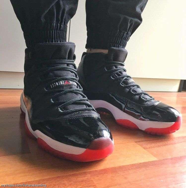 最近收白菜,现在收白菜的视频