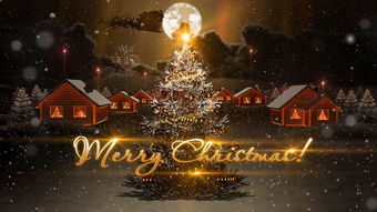 关于圣诞节的英文表达,关于圣诞节的英语简单短语