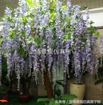 紫藤花室内装饰,紫藤花装饰长廊