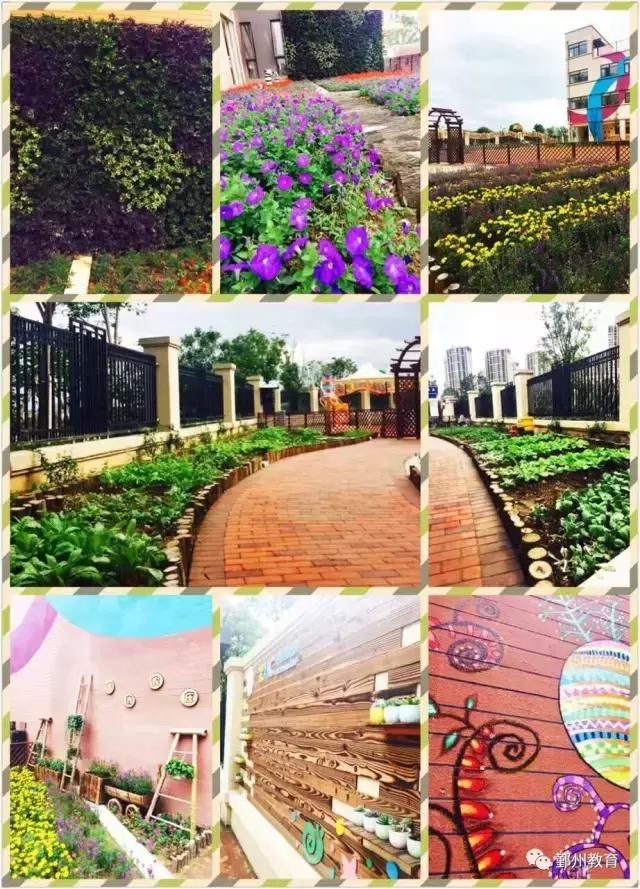 看完振奋,下应东南片区教育配套大爆发!