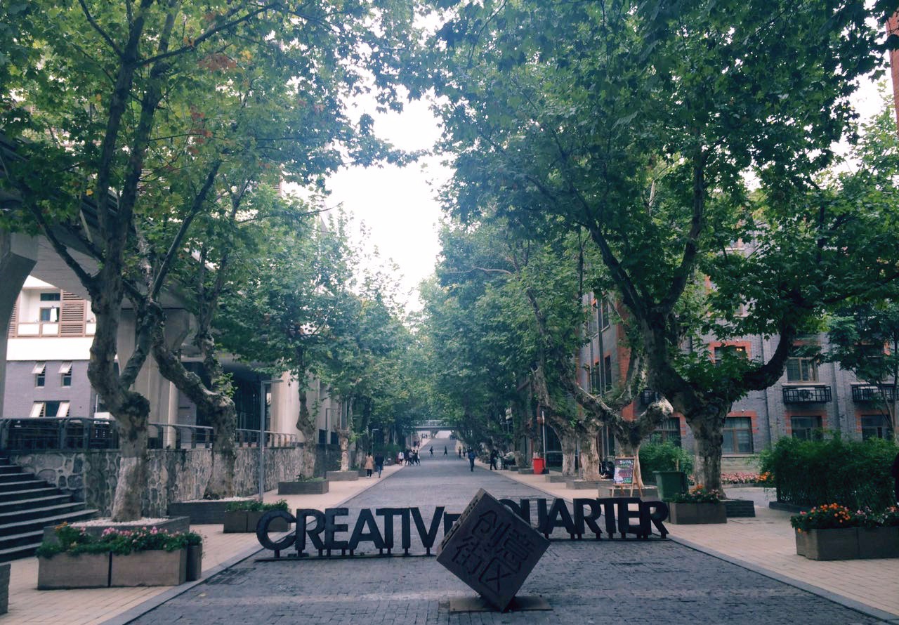 遇见南艺——关于爱与行走和青春