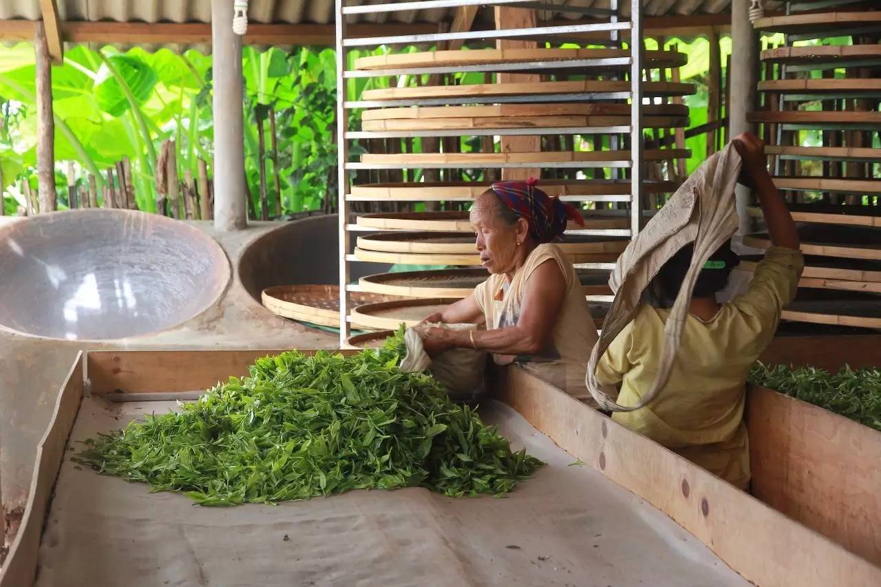 “在选择人生道路这件事上，我不曾被一种洪流卷走”｜KY访谈