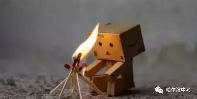 2017年哈尔滨中考化学试题及答案,哈尔滨化学中考推断知识