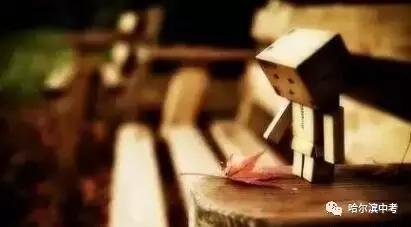 2017年哈尔滨中考化学试题及答案,哈尔滨化学中考推断知识