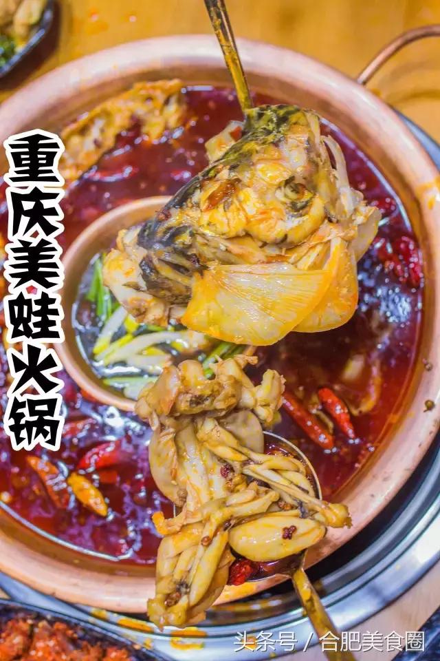 合肥滨湖美蛙鱼头火锅网红店,美蛙鱼头味之绝合肥