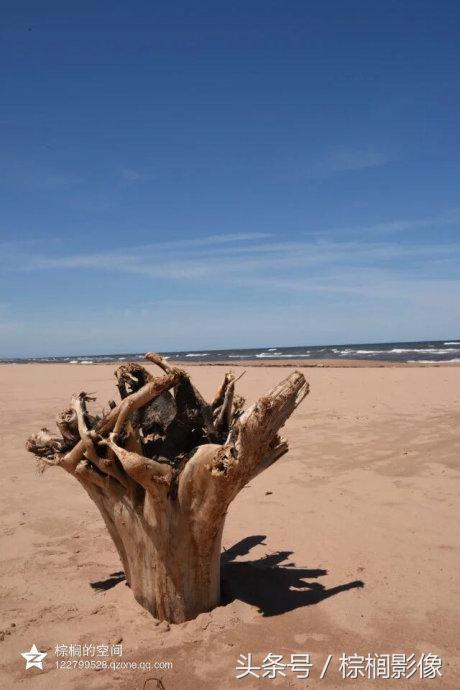 鐖卞痉鍗庣帇瀛愬矝鏈夋病鏈夊畨濡繖涓汉,鐖卞痉鍗庣帇瀛愬矝瀹夊Ξ灏忓眿鍦板潃