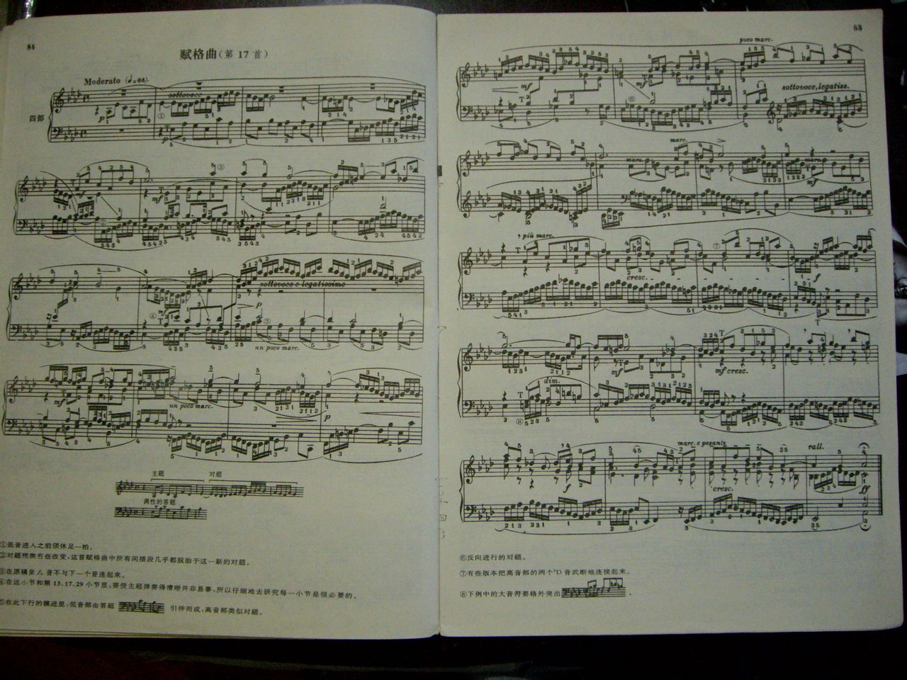 德国博兰斯勒钢琴特点,博兰斯勒钢琴怎样