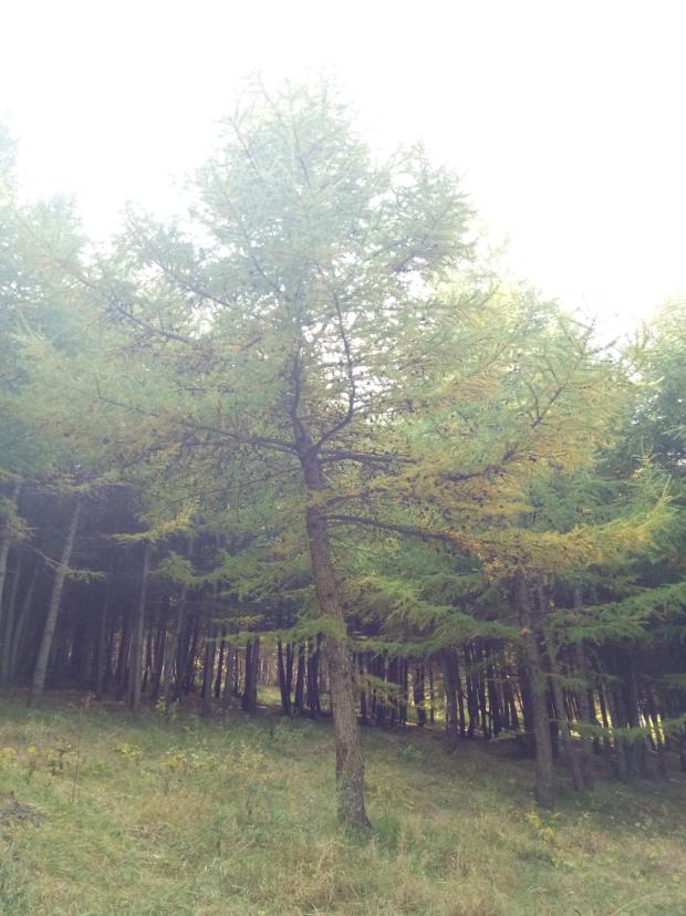 张北天路行,深度还原张北天路