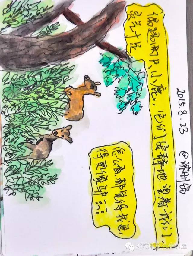 釜山旅游手绘,韩国济州岛怎么画