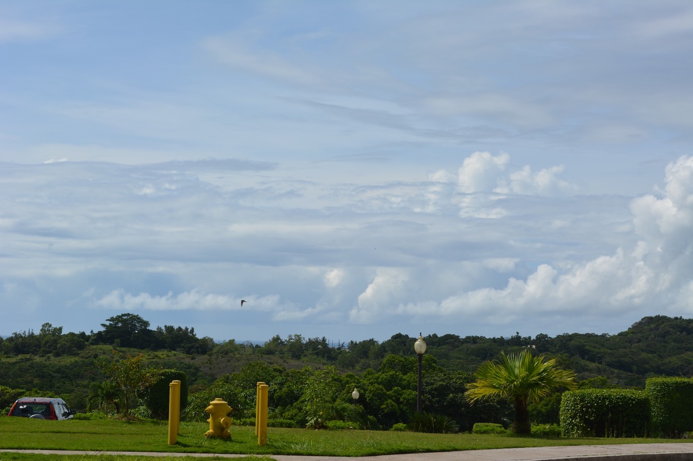帕劳旅行攻略大全图文,帕劳旅行攻略图文大全