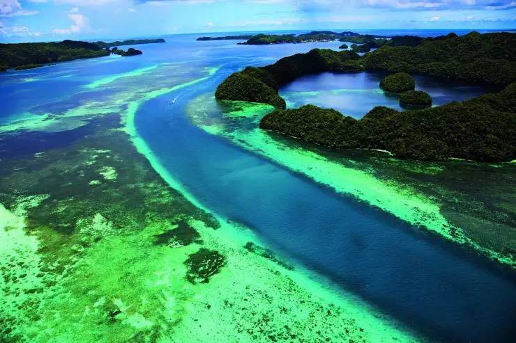 帕劳除了潜水还可以玩什么,在帕劳旅行发现帕劳潜水之美