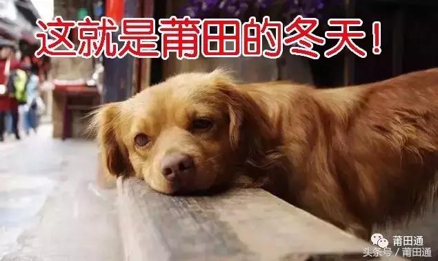 莆田今年首场寒潮来袭,莆田遭遇寒潮了吗最近天气