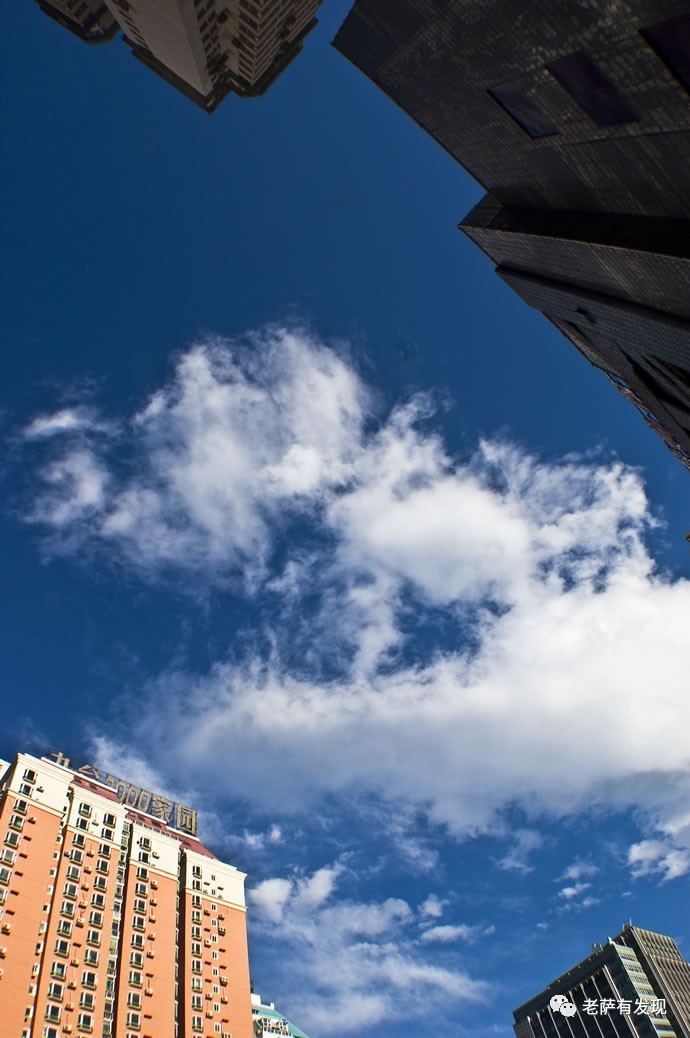 保利俱乐部真实故事,保利俱乐部事件