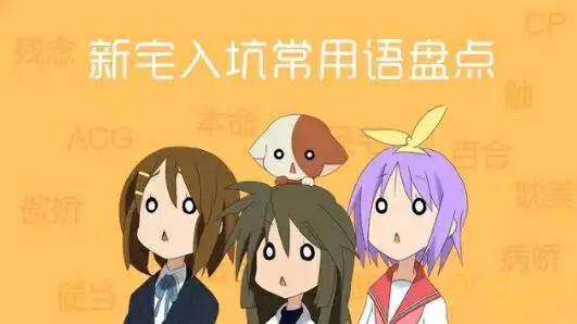 新手入坑二次元看什么,入坑二次元必备人物知识