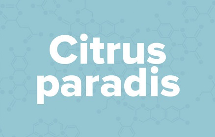 apple苹果的英语是什么,苹果的英语为什么是anapple