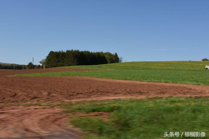 鐖卞痉鍗庣帇瀛愬矝鏈夋病鏈夊畨濡繖涓汉,缁垮北澧欑殑瀹夊Ξ鐖卞痉鍗庣帇瀛愬矝