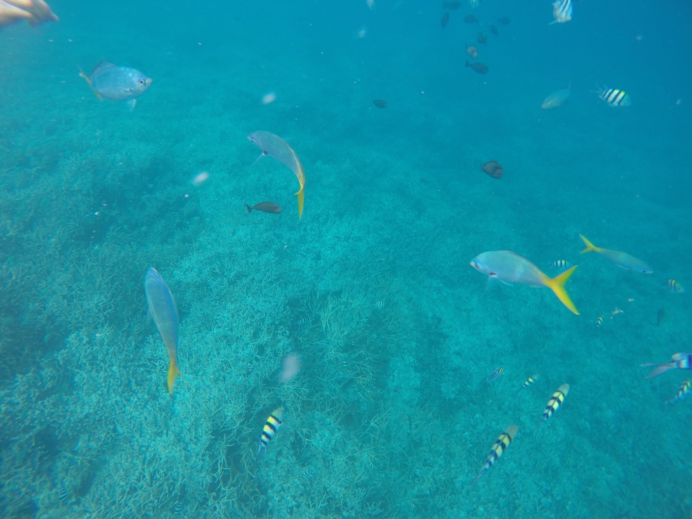 帕劳旅行攻略大全图文,帕劳旅行攻略图文大全