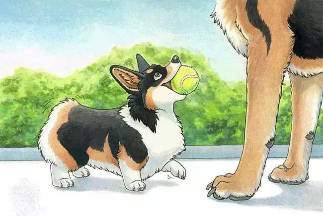 0-3岁幼儿启蒙好玩绘本阅读,0-3岁儿童必读绘本立体