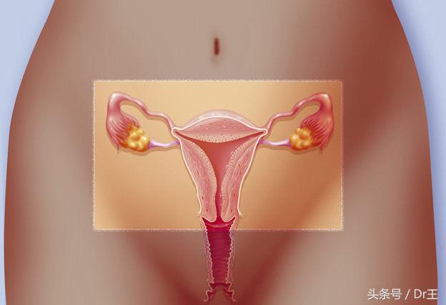 肚子呼噜呼噜响还放屁看哪科,肚子一直咕噜咕噜响看肠道门诊吗