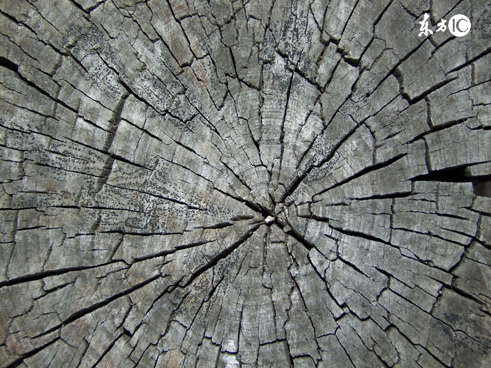 微信直邮技巧详解,微信直邮落地实操课程