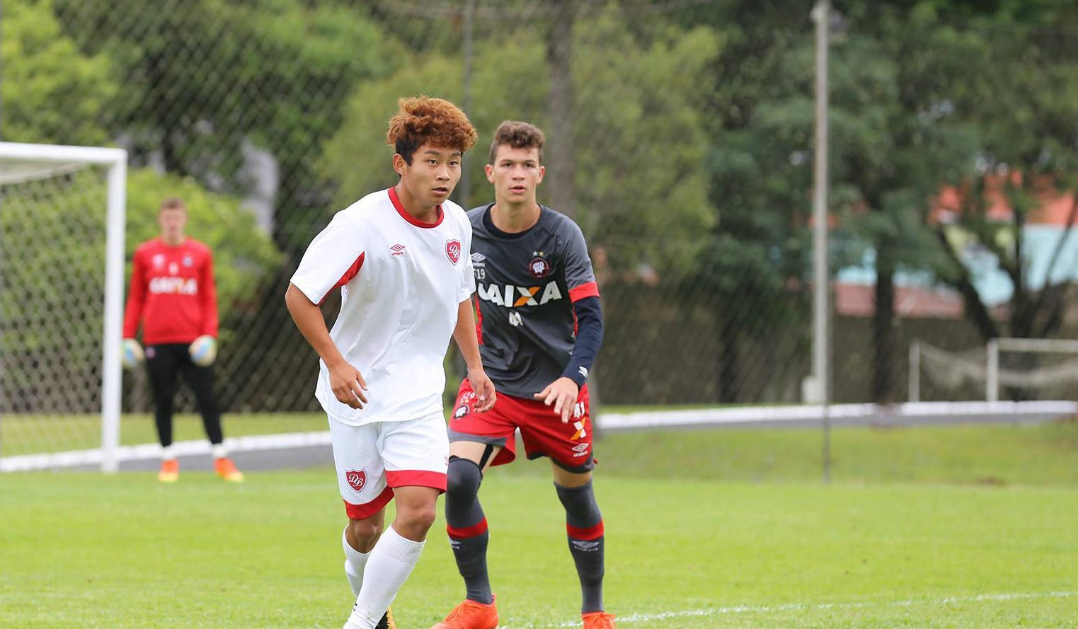 王健林世界杯赢了多少,王健林欧洲杯