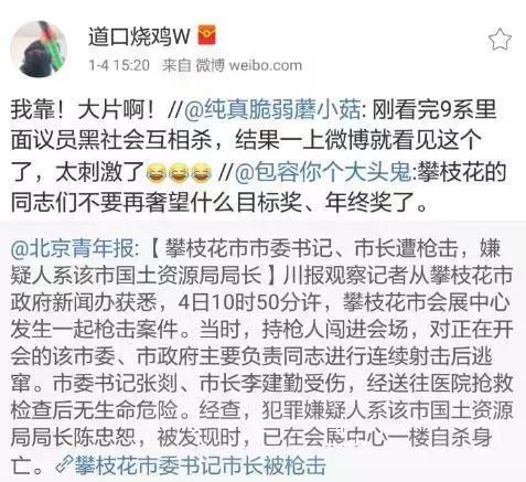 攀枝花枪击案最新结果,2017年攀枝花市枪击案