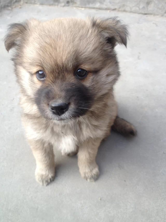 她叫肉肉（土话；扭扭）