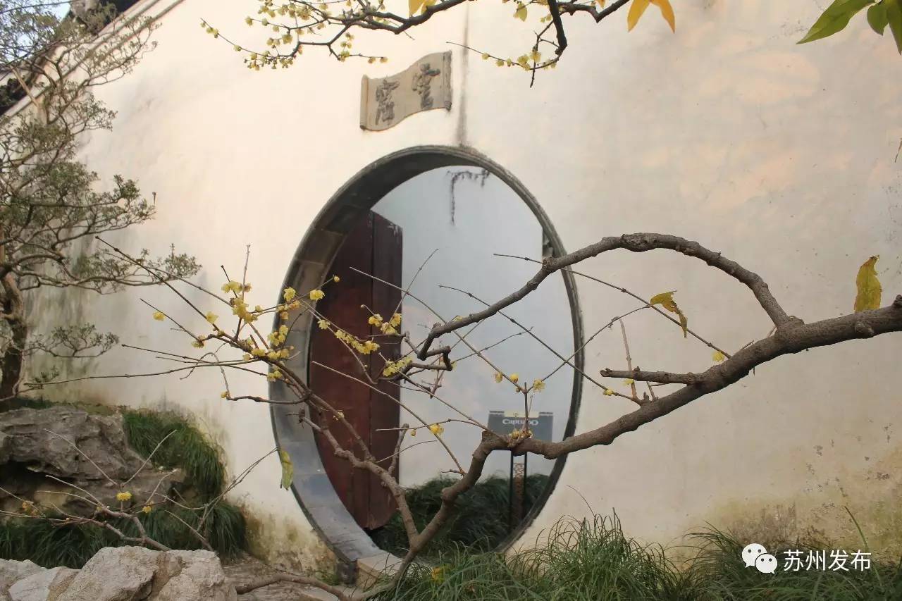 网师园里访腊梅:香密染成宫样黄……