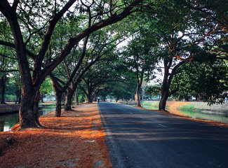 5月去泰国涛岛,几月去泰国旅游苏梅岛