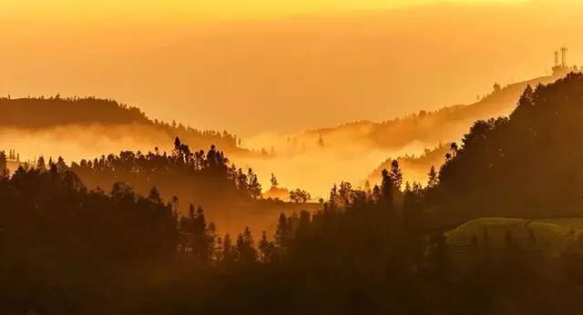 沪昆高铁上海虹桥开往昆明南,沪昆高铁昆明始发车次