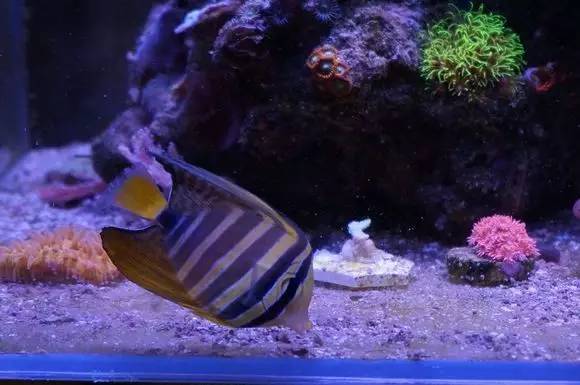 玩的真溜,三千玩出了三万的水平!