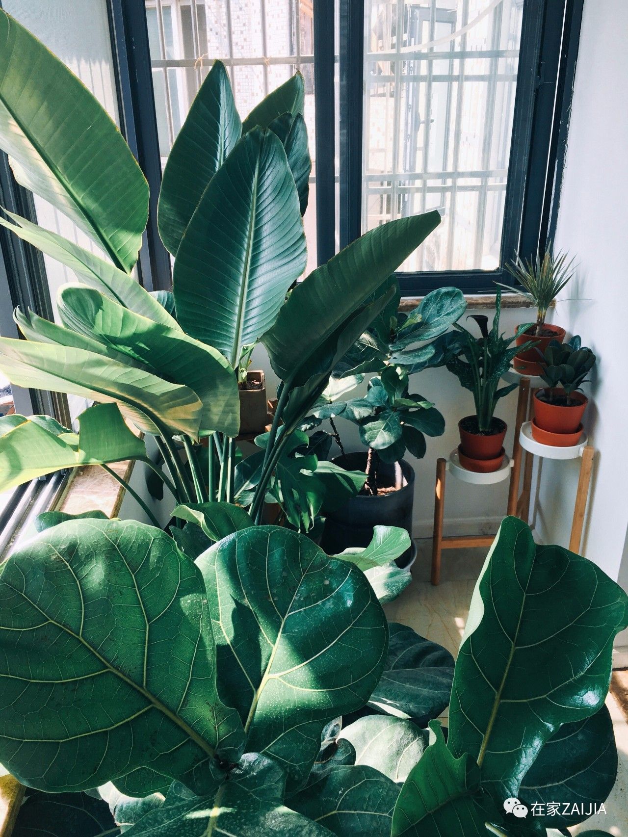 装修全程遥控，家具闲鱼网淘，资深宅男让闹市区老房大变样