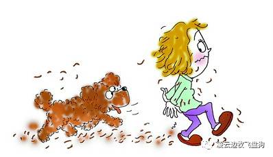 伴侣犬行为管理是什么,大狗狗伴侣犬怎么养活