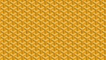 靠奢侈品提高身价蠢吗,靠奢侈品赚钱吗