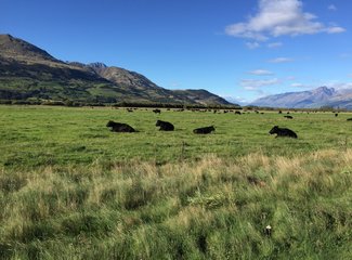 新西兰房车15天攻略,房车旅行记新西兰