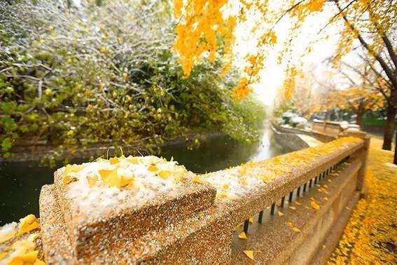 原来你是这样的大学视频,清华园现在什么样子