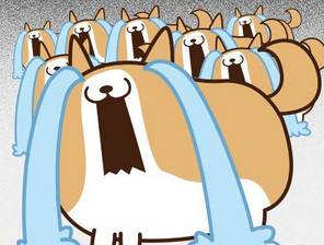 厦门社保卡丢失了怎么补办,厦门社保卡丢了需要什么证明