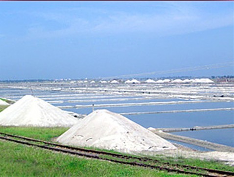 吃的盐比你吃的饭都多是不好的吗,每天吃几粒盐就足够了