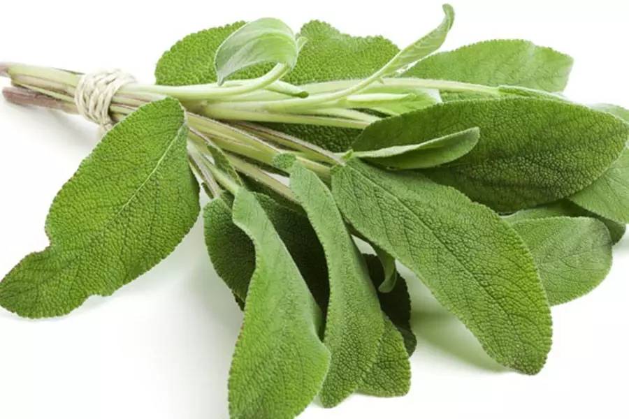 小茴香黑胡椒孜然配方,黑胡椒孜然小茴香