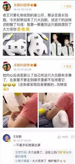 王励勤的妻子多娜的照片,多娜和王励勤结婚了吗
