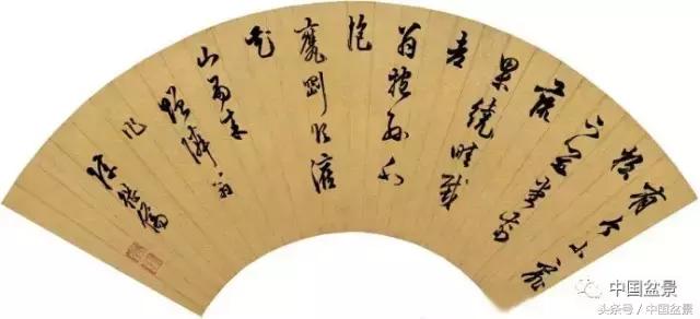 扇面文化与松柏盆景艺术欣赏