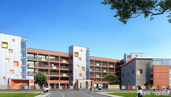 高新最好的小学有哪些,高新区小学最好的是哪个学校