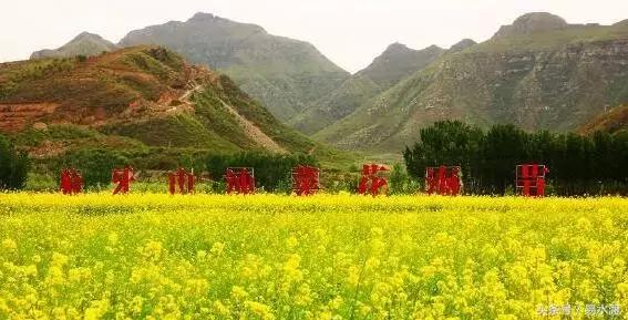 易县介绍在哪里,易县哪儿可以看玉的真假