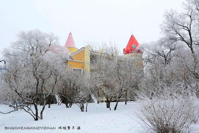 哈尔滨太阳岛的冬天照片,哈尔滨太阳岛的冬天有多美