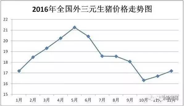 挥别16金猪年迎接17银猪年