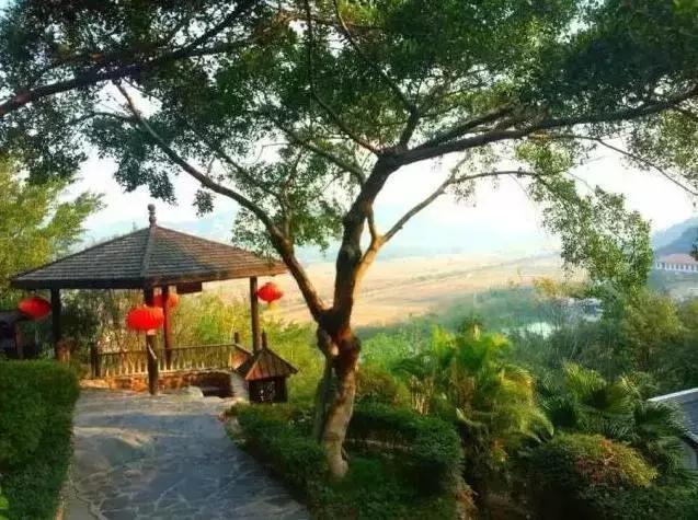 清远英德奇洞温泉度假村,清远市英德奇洞温泉