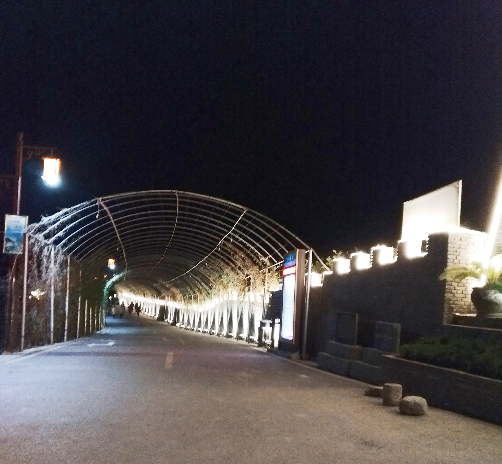 褒河花果山夜景,褒河花果山菊花台