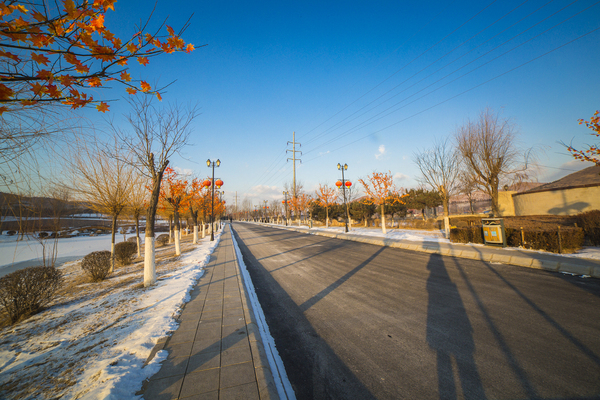 绚烂这夜的碧湖，醉了你的温暖柔情